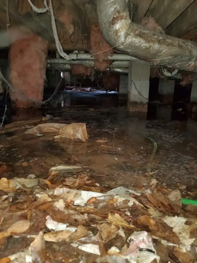 Crawl space flood assessment for Commercial Water Damage Restoration in South Hill