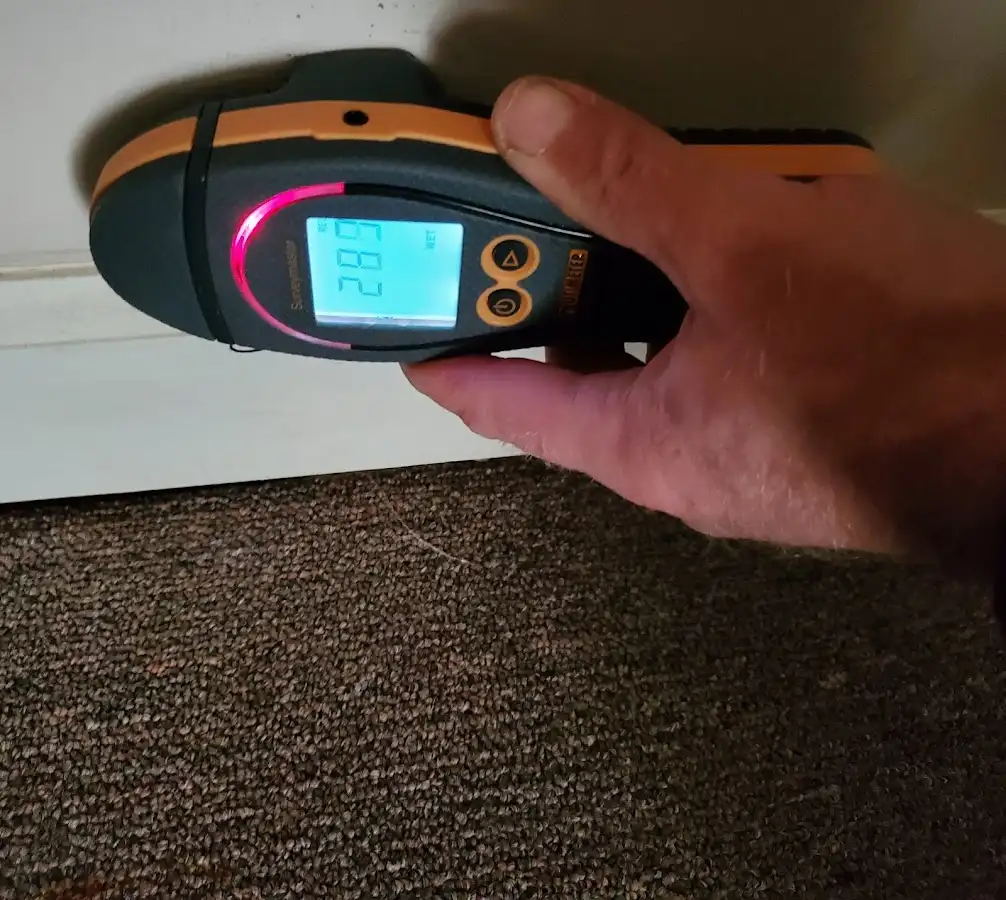 Moisture detection at baseboard during Sewage Cleanup & Sanitation in South Hill